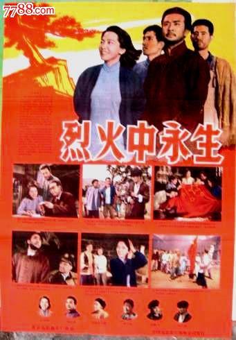 千葉科学大学学士证书